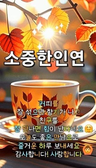 농녀님의 공짜로 가질 수 있다면 나의 선택은? · 참여글 작성글 사진