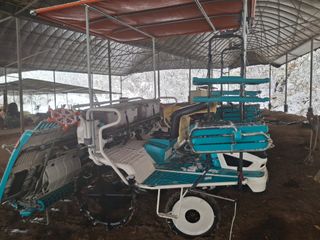 꽁지머리님의 공짜로 가질 수 있다면 나의 선택은? · 참여글 작성글 사진