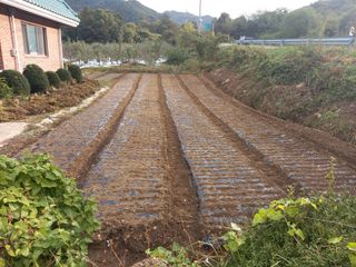 무주김근중님의 공짜로 가질 수 있다면 나의 선택은? · 참여글 작성글 사진