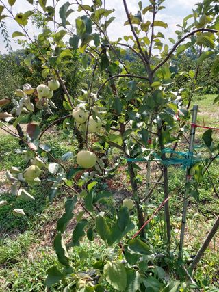 박현순님의 팜모닝 · 출석 작성글 사진