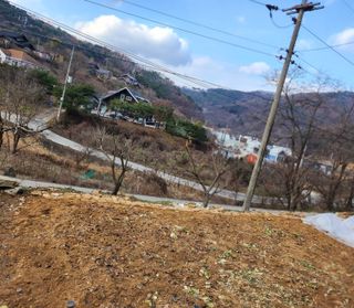 툇골짜기님의 12월 작물 자랑하기 · 참여글 작성글 사진