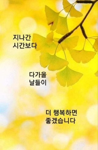 윤양현님의 공짜로 가질 수 있다면 나의 선택은? · 참여글 작성글 사진
