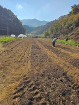 팜모닝 공짜로 가질 수 있다면 나의 선택은?·참여글 게시글 이미지