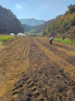 마실 박기님의 공짜로 가질 수 있다면 나의 선택은? · 참여글 작성글 사진