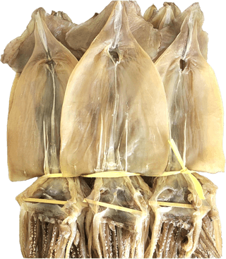 농수사님의 작성글 사진