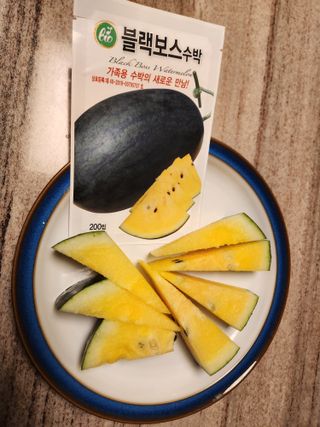 안산제일농약사님의 작성글 사진