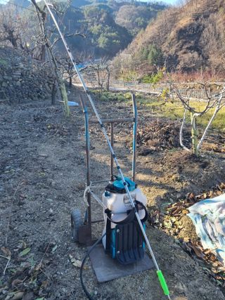 김용대님의 자유주제 · 자유게시판 작성글 사진