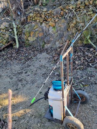 김용대님의 자유주제 · 자유게시판 작성글 사진