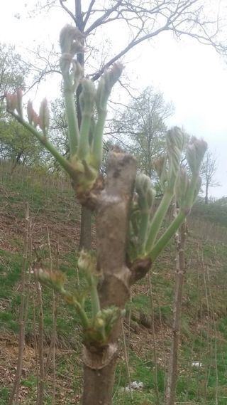 알 수 없음님의 자유주제 · 사진전 작성글 사진