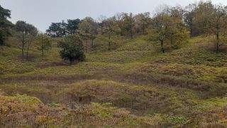 알 수 없음님의 자유주제 · 자유게시판 작성글 사진