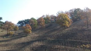 알 수 없음님의 자유주제 · 자유게시판 작성글 사진