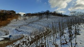 알 수 없음님의 자유주제 · 자유게시판 작성글 사진