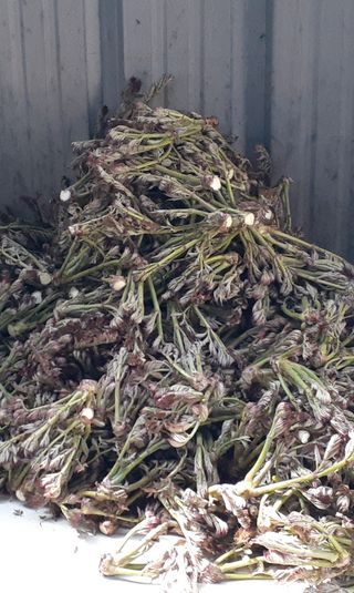 알 수 없음님의 자유주제 · 사진전 작성글 사진