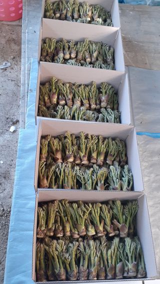 알 수 없음님의 자유주제 · 사진전 작성글 사진