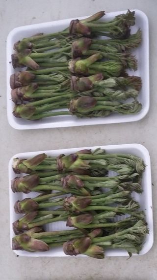 알 수 없음님의 자유주제 · 사진전 작성글 사진