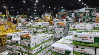 알 수 없음님의 자유주제 · 사진전 작성글 사진