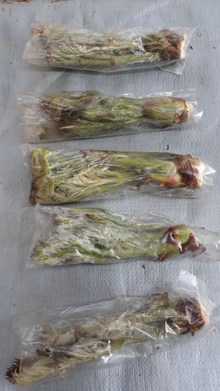 알 수 없음님의 자유주제 · 사진전 작성글 사진