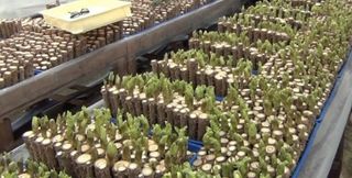 알 수 없음님의 자유주제 · 사진전 작성글 사진