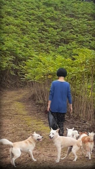 알 수 없음님의 자유주제 · 사진전 작성글 사진