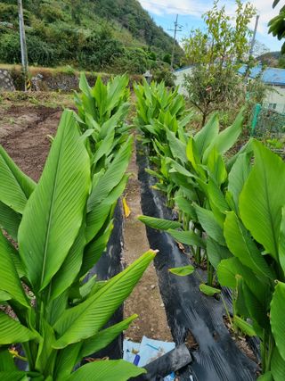 최현숙 님의 12월 작물 자랑하기 · 참여글 작성글 사진