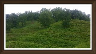 알 수 없음님의 자유주제 · 사진전 작성글 사진
