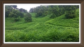 알 수 없음님의 자유주제 · 사진전 작성글 사진