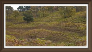 알 수 없음님의 자유주제 · 사진전 작성글 사진