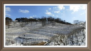 알 수 없음님의 자유주제 · 사진전 작성글 사진