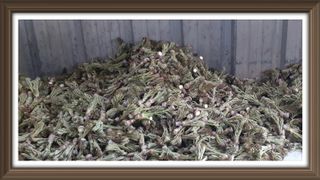 알 수 없음님의 자유주제 · 사진전 작성글 사진