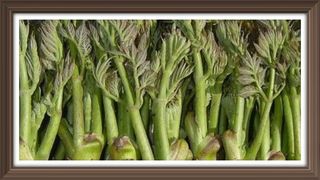 알 수 없음님의 자유주제 · 사진전 작성글 사진