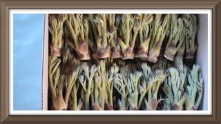 알 수 없음님의 자유주제 · 사진전 작성글 사진