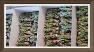 알 수 없음님의 자유주제 · 사진전 작성글 사진