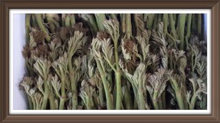 알 수 없음님의 자유주제 · 사진전 작성글 사진