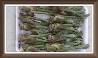 알 수 없음님의 자유주제 · 사진전 작성글 사진