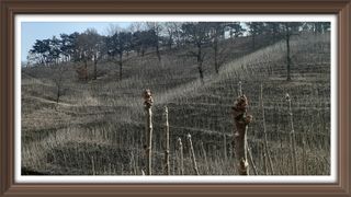 알 수 없음님의 자유주제 · 사진전 작성글 사진