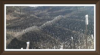 알 수 없음님의 자유주제 · 사진전 작성글 사진