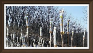 알 수 없음님의 자유주제 · 사진전 작성글 사진