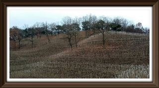 알 수 없음님의 자유주제 · 사진전 작성글 사진