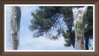 알 수 없음님의 자유주제 · 사진전 작성글 사진