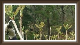 알 수 없음님의 자유주제 · 사진전 작성글 사진