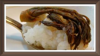 알 수 없음님의 자유주제 · 사진전 작성글 사진