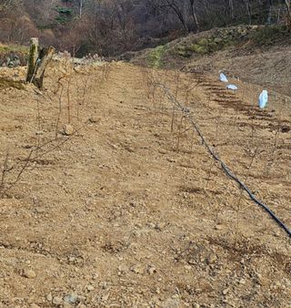 신선옥님의 자유주제 · 자유게시판 작성글 사진