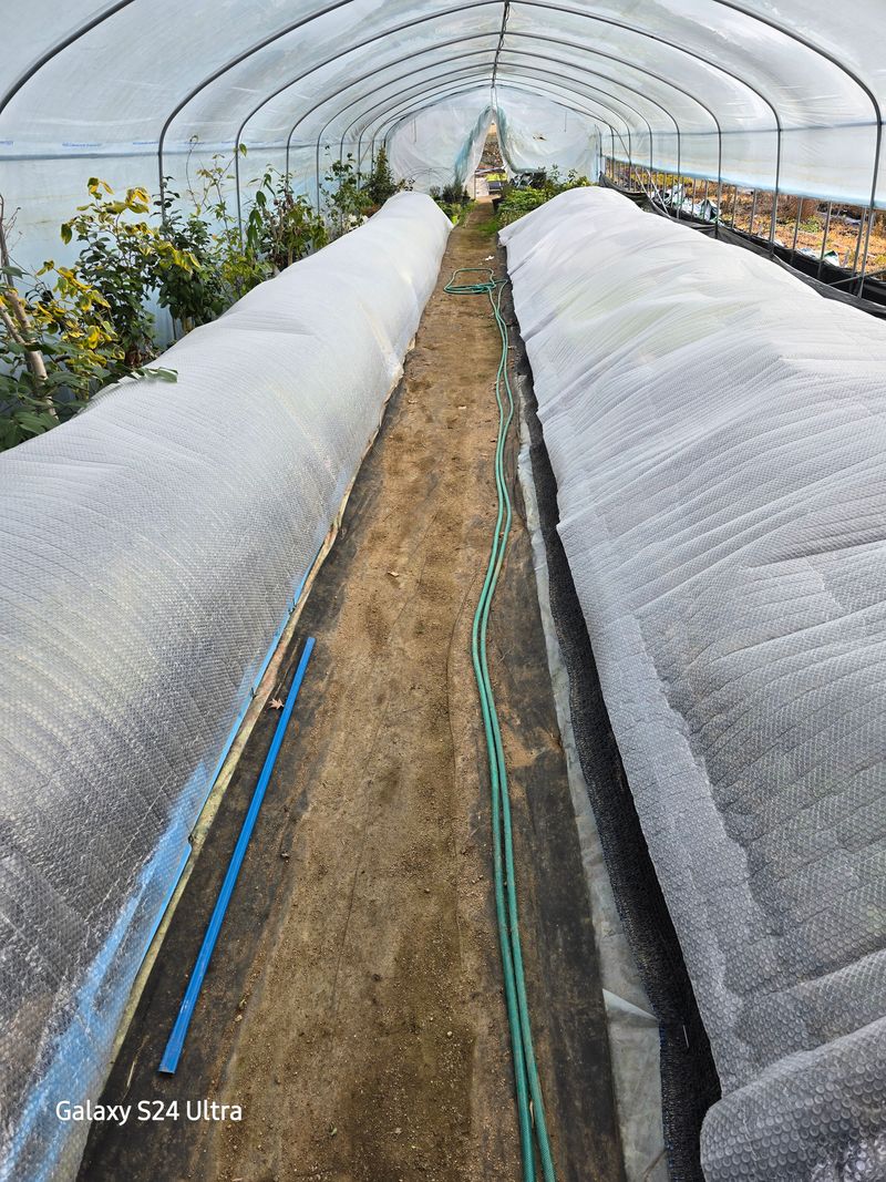 장터 상품 [보온.보냉 농업용뽁뽁이] 썸네일