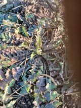 팜모닝 자유주제·자유게시판 게시글 이미지