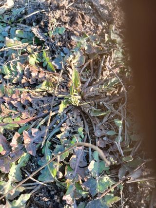 전국하님의 자유주제 · 자유게시판 작성글 사진