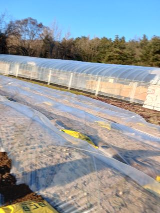 전국하님의 자유주제 · 자유게시판 작성글 사진