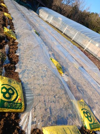 전국하님의 자유주제 · 자유게시판 작성글 사진