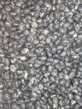 팜모닝 농사, 무엇이든 물어보세요!·참여글 게시글 이미지