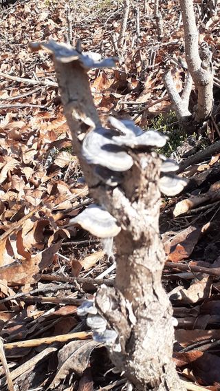 알 수 없음님의 자유주제 · 사진전 작성글 사진