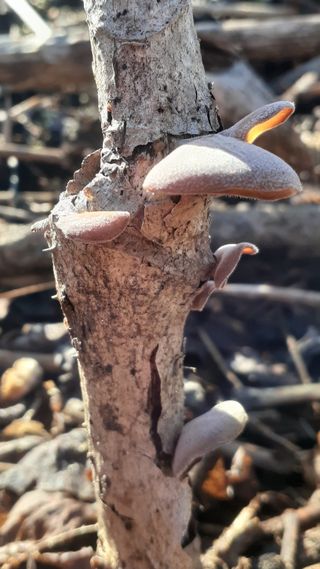 알 수 없음님의 자유주제 · 사진전 작성글 사진